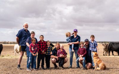 Leading your Farm Business – what sort of leader do you aspire to be?