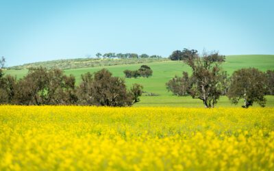 Carbon Farming Opportunities – Lessons from on the ground